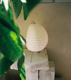 Isamu Noguchi 1N lampe av rispapir, håndlaget i Japan. Lampen produseres av Vitra og kan kjøpes ved Kollekted By i Oslo. Assymetrisk formspråk og planter